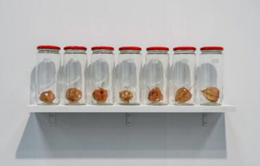 Fox Armory Show 2013 Installation View 07