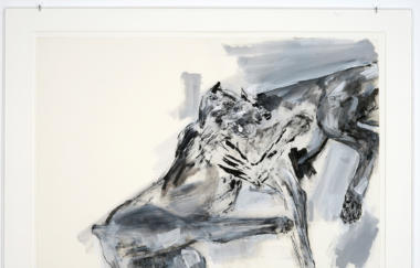 Golub Dog Fight 1994