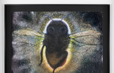 Heaton Shamanic Bee 2013 2015