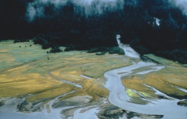 Harrisons Tongass National Forest Alaska 1990 T