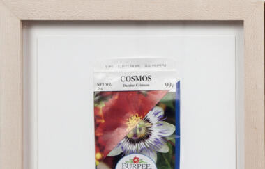 Van Aken Cosmos 2011