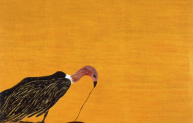 Chunn Vulture 1982