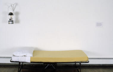 Antin Amy Goldin