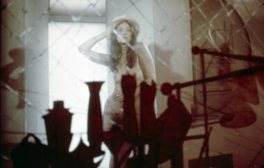 Wilke Through the Large Glass Plexi 1976