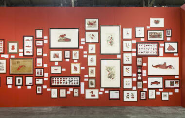 Ballengee The Frameworks Of Absence Installation View 2015 07