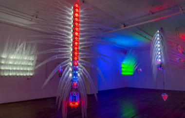 Huang Incubate 2019 03