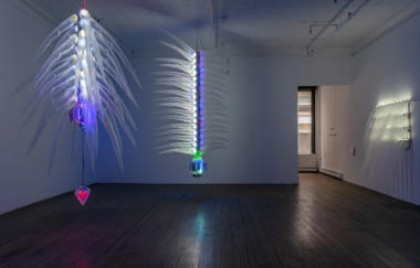 Huang Incubate 2019 04