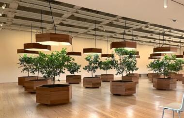 Hyperallergic when hope is not enough 2024 Harrisons