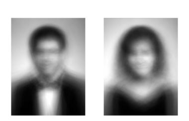 Salavon Class Of 88 Diptych