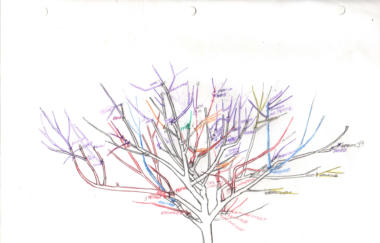 Tree 75 Diagram