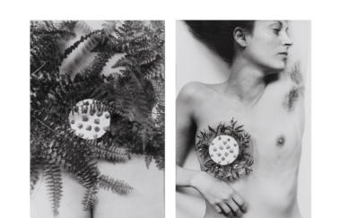 Wilke Breastplate 1981 Unframed