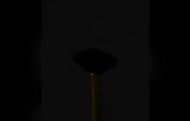 Diemut